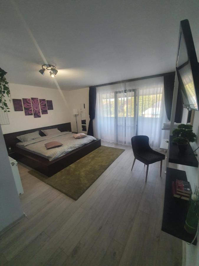 Pensiunea Relax Curtea De Arges Exterior photo